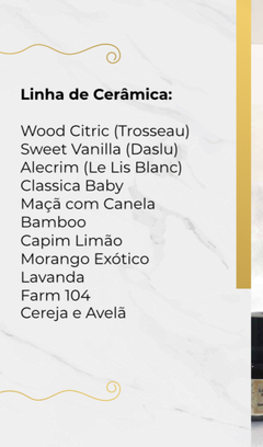 Tomada difusora de aromas cerâmica na internet