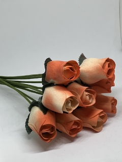 Rosa Difusora - New Belle