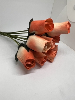 Imagem do Rosa Difusora