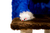 Casinha de Gato com Arranhador Sustentável Luppet Azul e Marrom