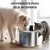 Newpet Filtro de bebedouro automático para gatos com capacidade de 3L em aço i na internet
