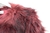 Charlotte Russe - coco boutique