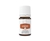 Young Living jengibre