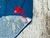 Pantie azul en internet