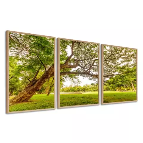 Kit 3 Quadros Decorativos Paisagem Arvore Verde Para Quarto Sala Casa Corredor Com Moldura e Vidro