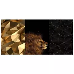 Kit Placas 3 Quadros Decorativos Vários Temas Para Decorar a Casa - comprar online