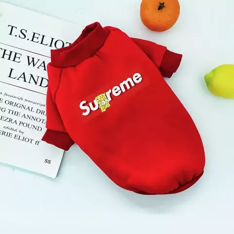 Roupas Para Cães Pequenos Shih Tzu Yorkshire Hoodies Sweatshirt Filhotes De Cachorro