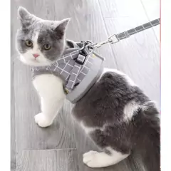 Peitoral Com Guia para Caes E Gatos Colete Regulavel Super Confortavel para Cachorro