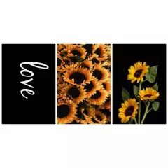 Kit Placas 3 Quadros Decorativos Vários Temas Para Decorar a Casa - comprar online