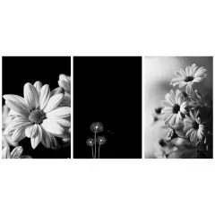 Kit Placas 3 Quadros Decorativos Vários Temas Para Decorar a Casa