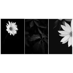 Kit Placas 3 Quadros Decorativos Vários Temas Para Decorar a Casa na internet