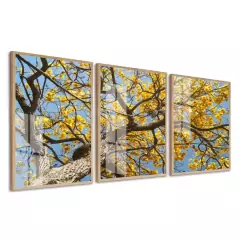 Quadros Decorativos Arvore Amarela Folhagem Para Sala Quarto Hall Corredor Com Moldura e Vidro