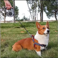 Coleira Guia Retrátil Para Cachorros pet 3/5 Metros