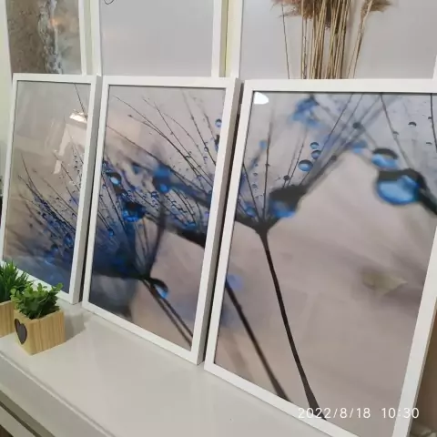 Kit 3 Quadros Decorativos Dente De Leão Azul Flor Para Quarto Sala Casa Corredor Com Moldura e Vidro