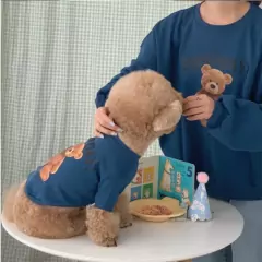 Imagem do Roupa de cachorro de cachorro de urso de estimação bonita