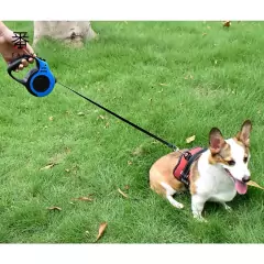 Coleira Guia Retrátil Para Cachorros pet 3/5 Metros - comprar online