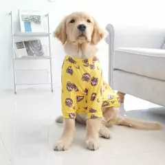 Roupa Pet Dog Clothes for Golden Retriever Labrador Summer Thin Style Polyester Material Prevenção Da Queda De Pêlos À Prova De Abrasão (Urso Amarelo) - loja online