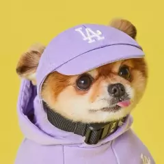 Teddy Chapéu De Sol Francês De Combate Bichon Corgi Pet Cap/Dog LA/Cachorro Pequeno NY Boné De Beisebol/Para/Sem Orelhas Animal De Estimação - loja online