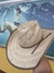 Chapéu Stetson