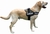Arnes Pechera Para Perros K9 Talla XXL