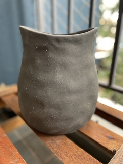 Vaso Pixirica na internet