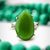 Jade verde