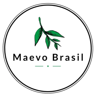 Maevo Brasil Ponto Shop