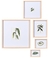 KIT QUADROS DECORATIVOS EM MDF - 5PCS TEMA BOTANICO