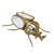 INSETO DECORATIVO EM METAL DOURADO E ESPELHOS 18CM