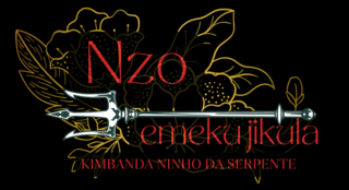 Nzo Emekujikula