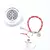 Pulsera San Benito Abad - comprar online