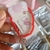 Imagen de Pulsera Francisca