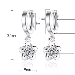 Pendientes de Plata Lujo