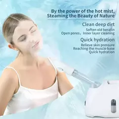 Vaporizador de Pulverización Caliente Facial en internet