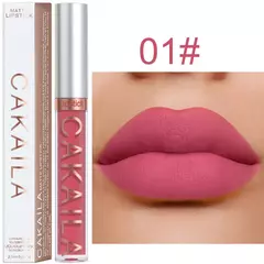 Lápiz labial de Terciopelo Mate de 18 Colores