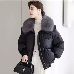 Abrigos de Algodón Invierno - TOKO Directo a tu Puerta
