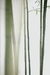 Home Spray 100ml • Bamboo - comprar online