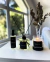 Kit Promocional • Jardim de Outono
