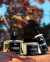 Kit Promocional • Jardim de Outono - comprar online