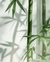 Vela Aromática 185g • Bamboo na internet