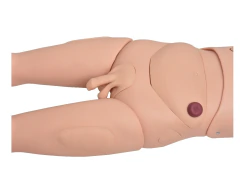 MANEQUIM BISSEXUAL ADULTO C/ ÓRGÃOS INTERNOS P/ TREINO DE ENFERMAGEM DE 1,70CM - comprar online