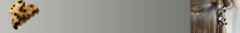 Banner da categoria PIRANHAS