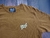 Remera DO NOT CRY