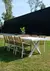 Silla Sunny - tienda online