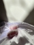 EGG 3.0 TURBO Masturbador com Texturas Pretty Love - comprar online