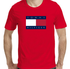 Remera Tommy Hilfiger - Modelo 2004 - tienda online