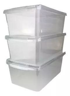 ORGANIZADOR DE ZAPATOS 10 LITROS - comprar online