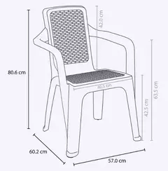 Silla Eterna Plastica Con Apoya Brazos Apariencia Ratan en internet