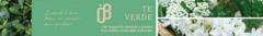 Banner de la categoría N° 08 Té Verde