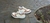Zapatillas Urbanas Unisex - Calzados de Cuero Roma